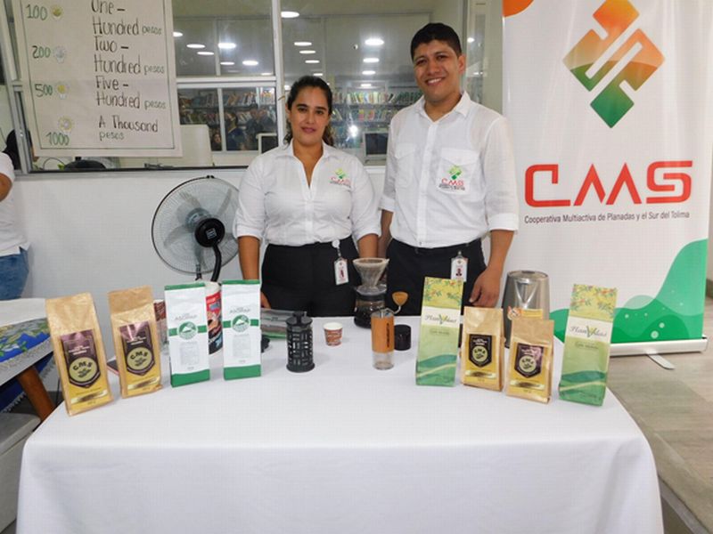 CATACIÃN DE CAFÃ, ACERCÃNDONOS A LOS EMPRENDIMIENTOS TOLIMENSES