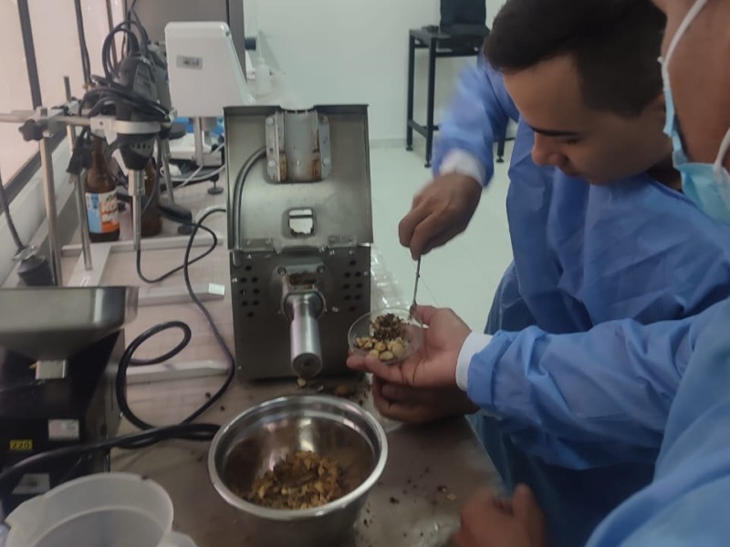 Estudiantes de Regencia de Farmacia trabajan en la producción de elementos de cuidado personal completamente naturales